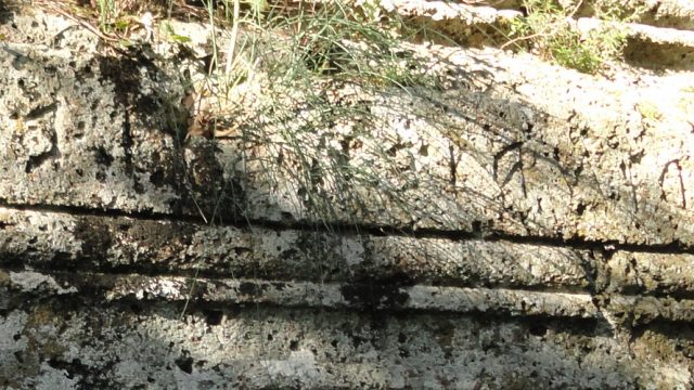 La necropoli rupestre di Castel d’Asso – Viterbo.