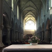 San Martino al Cimino. La chiesa abbaziale cistercense. Interno. Dettaglio.2