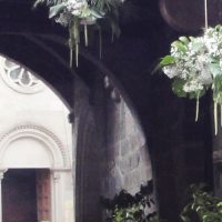 Viterbo S. Pellegrino Scacciaricci