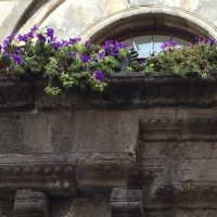 Viterbo casa con profferlo 3