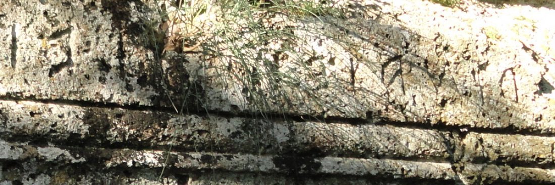 La necropoli rupestre di Castel d’Asso – Viterbo.