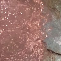 Orvieto Pozzo della Cava 4
